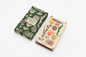 Extra Large Seaweed Pressing Kit by Studio Wald