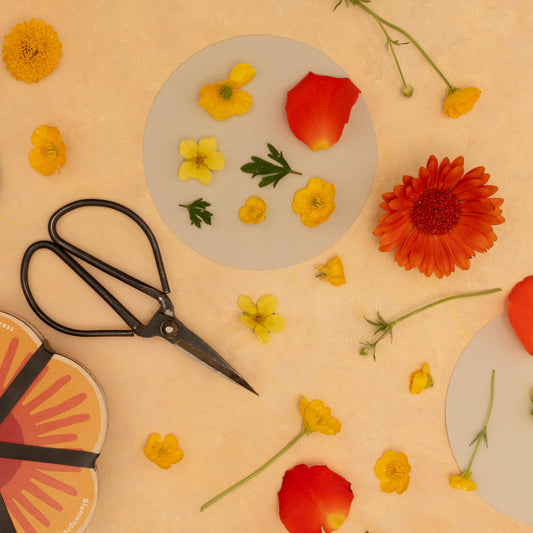 Flower Shaped Press Refill Sets