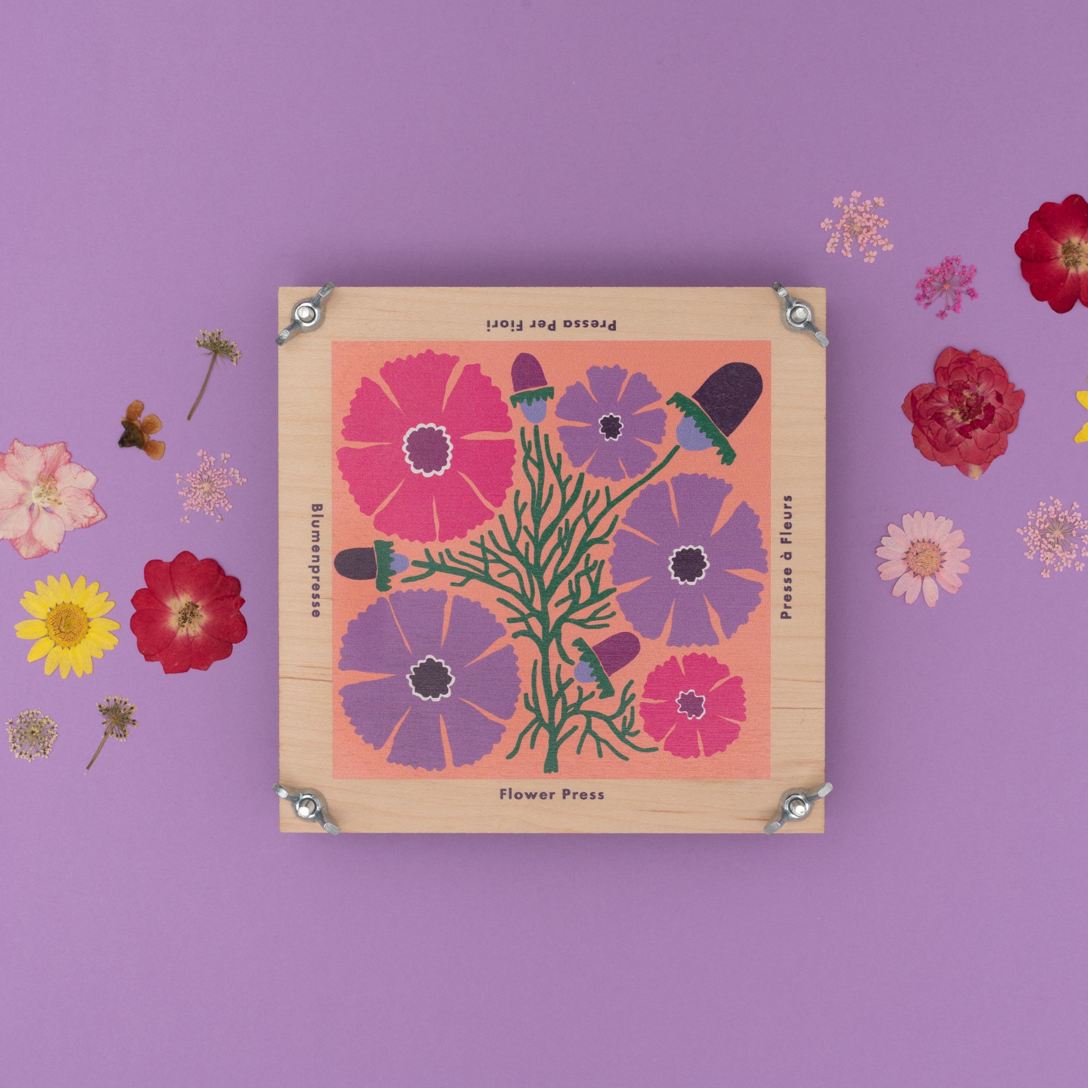 Flower Press with Pink and Purple Cosmos Flowers Design by Studio Wald
