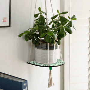 Hanging Plant Shelf - Forget Me Not Green