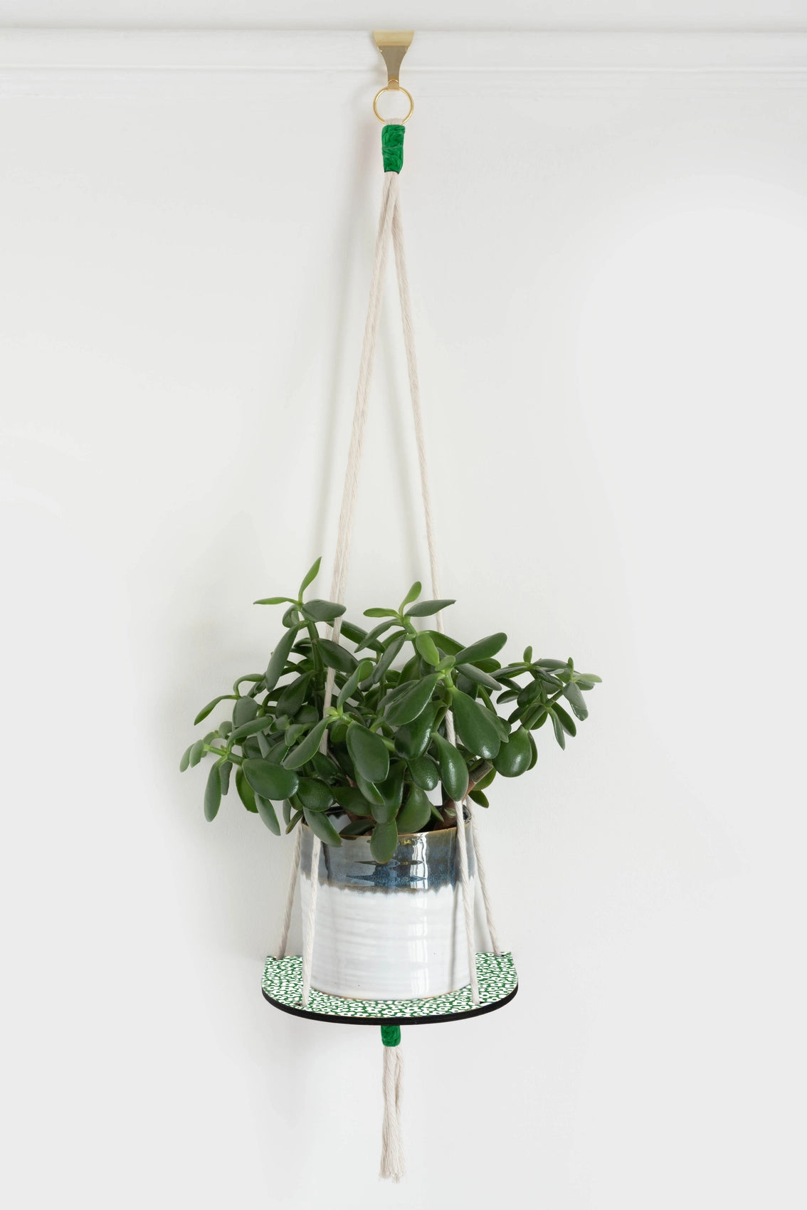 Hanging Plant Shelf - Forget Me Not Green