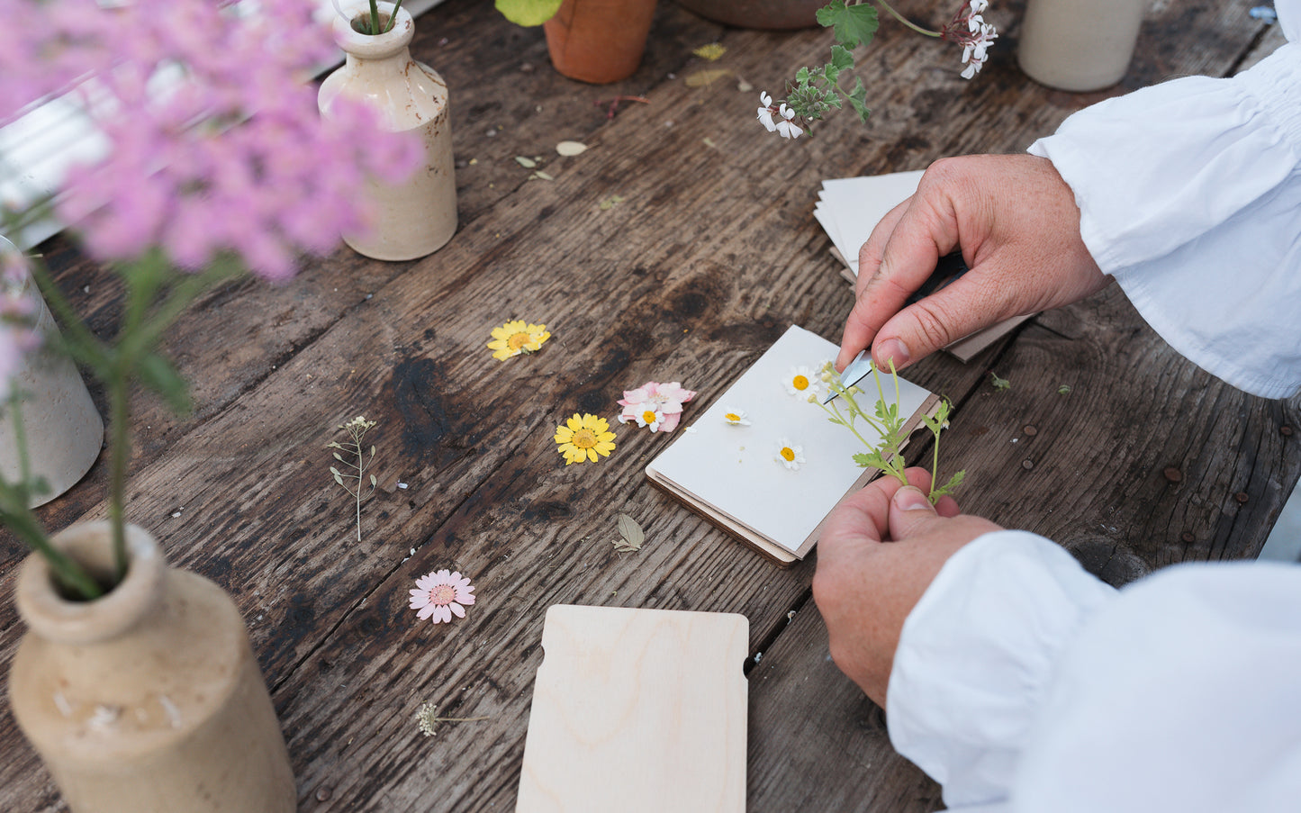 Pocket Flower Press - Cosmos