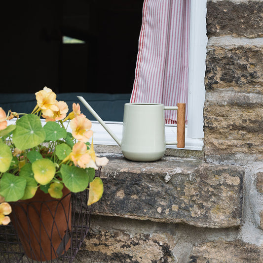 Pale Jade Indoor Watering Can