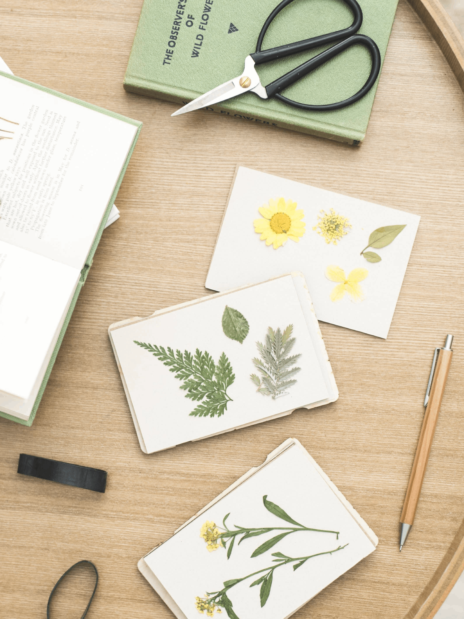 Pressed Flowers in a Mini Flower Press by Studio Wald