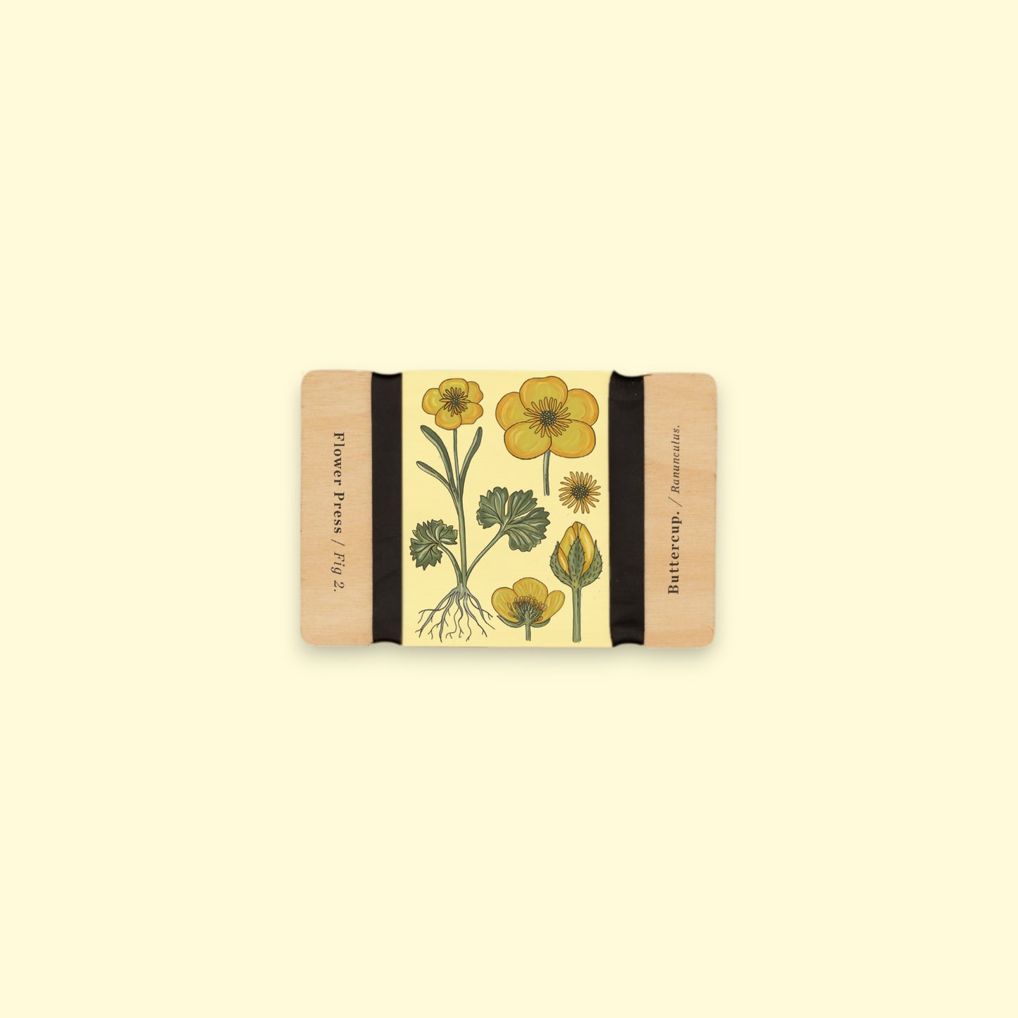 Pocket Flower Press - Vintage Buttercup