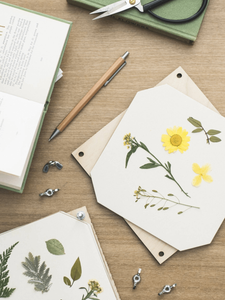 Pressed Flowers in a Flower Press by Studio Wald