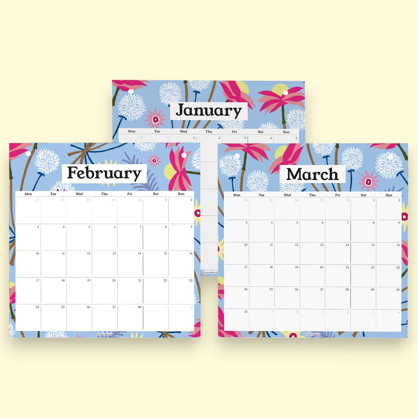 2026 Pinboard Calendar Refills - Dried Floral