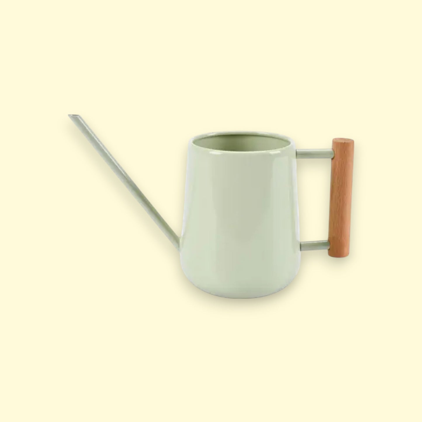 Pale Jade Indoor Watering Can