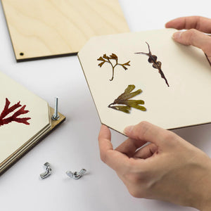 Seaweed Press Refill Paper – StudioWald