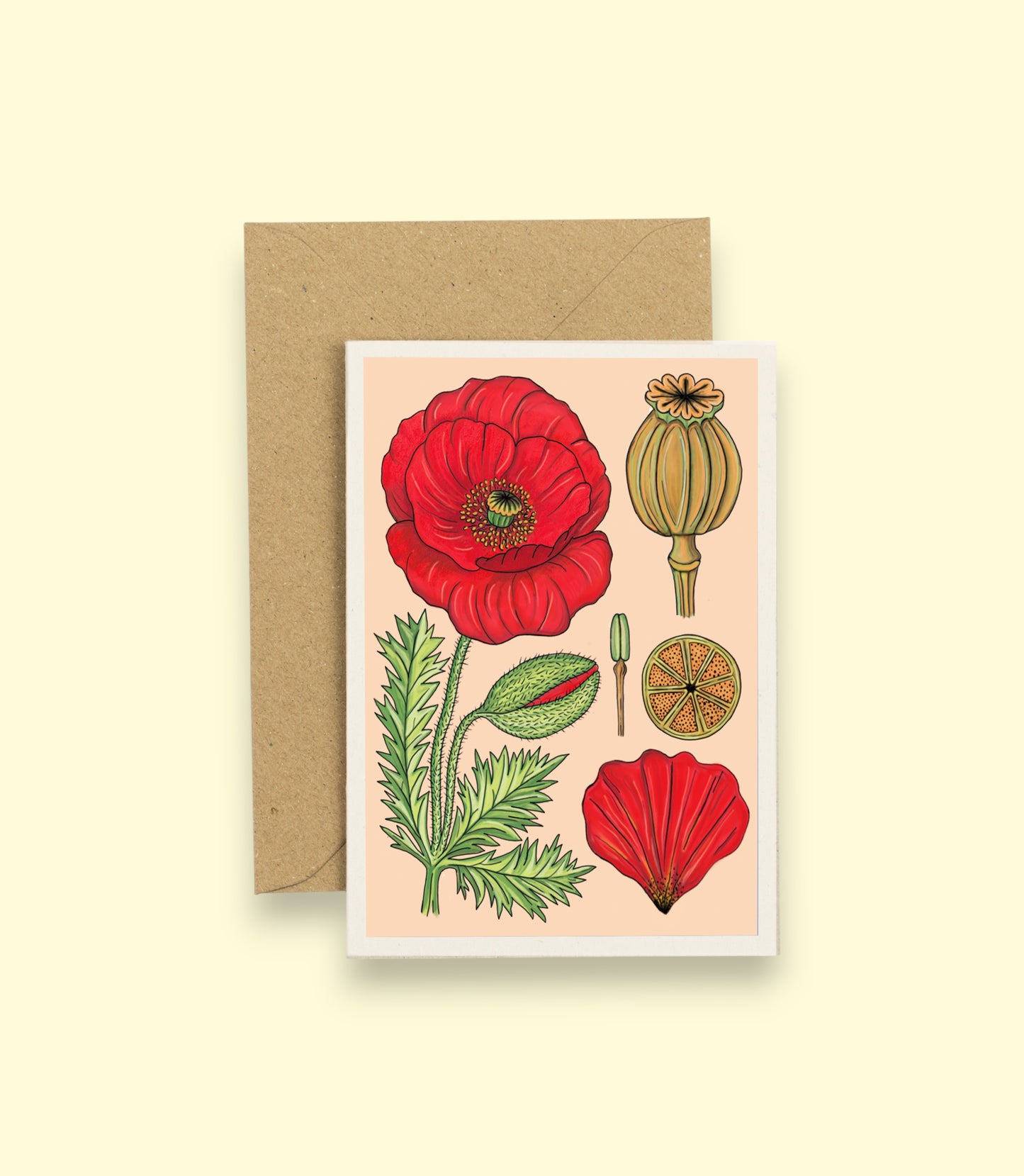 All Occasions A6 Card - Vintage Poppy