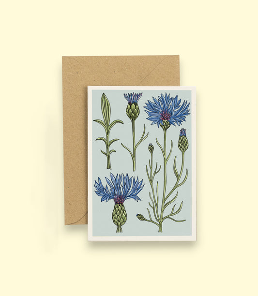 All Occasions A6 Card - Vintage Cornflower