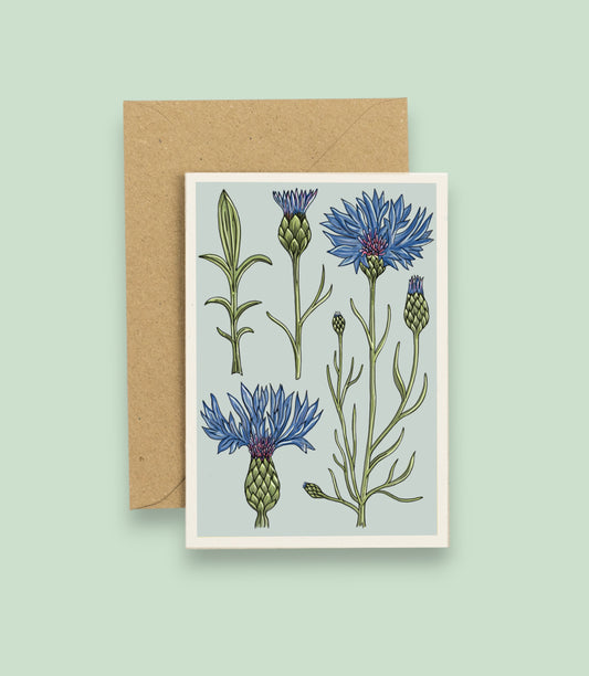 All Occasions A6 Card - Vintage Cornflower
