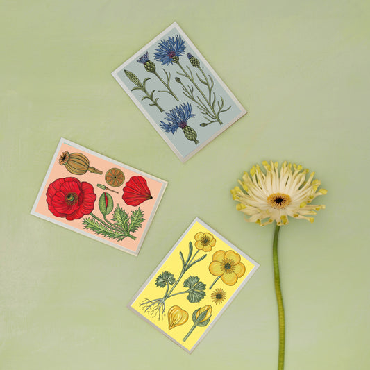 All Occasions A6 Card - Vintage Poppy