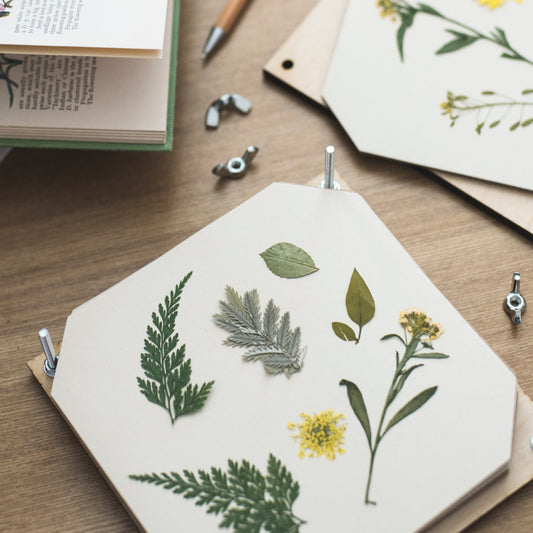 Flower Press Refill Sets