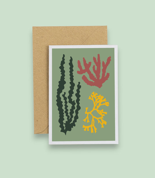 Seaweed Card - Green