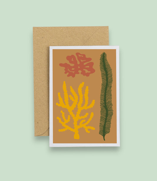 Seaweed Card - Mustard