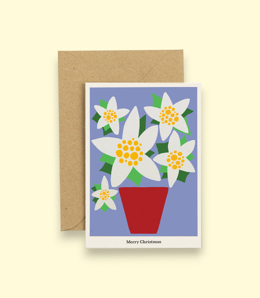 Christmas Plants Card - Poinsettia