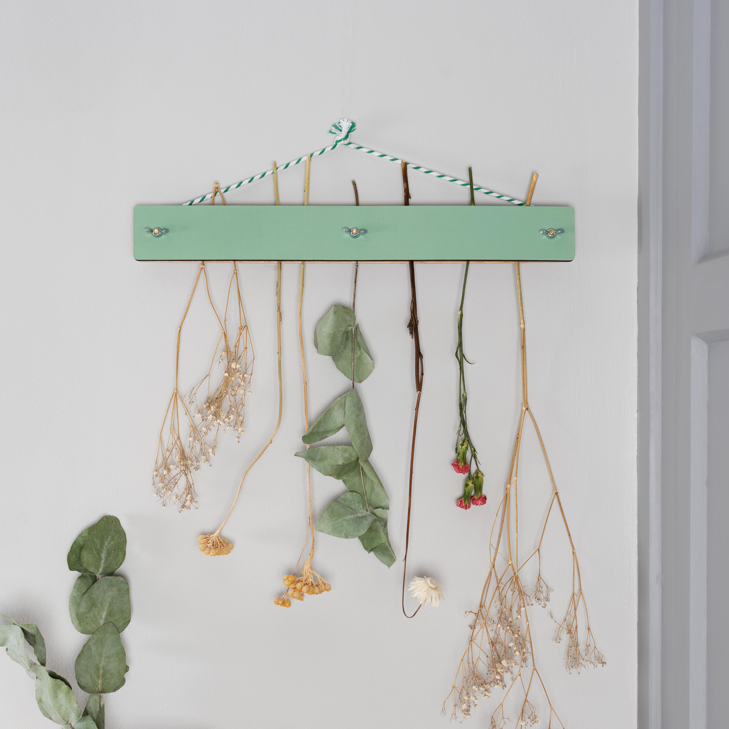Flower Drying Kit - Green Wash