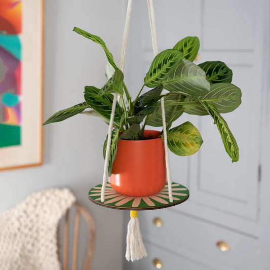 Plant Hanger - Daisy