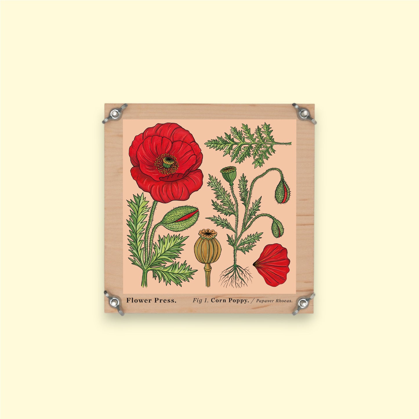 PREORDER - Flower Press - Corn Poppy