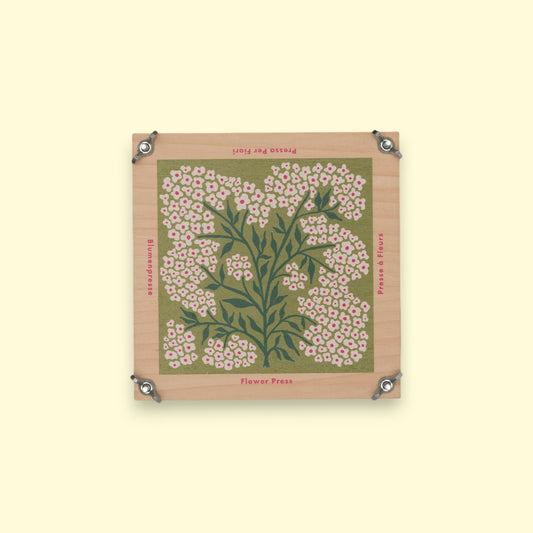 Flower Press - Forget Me Not