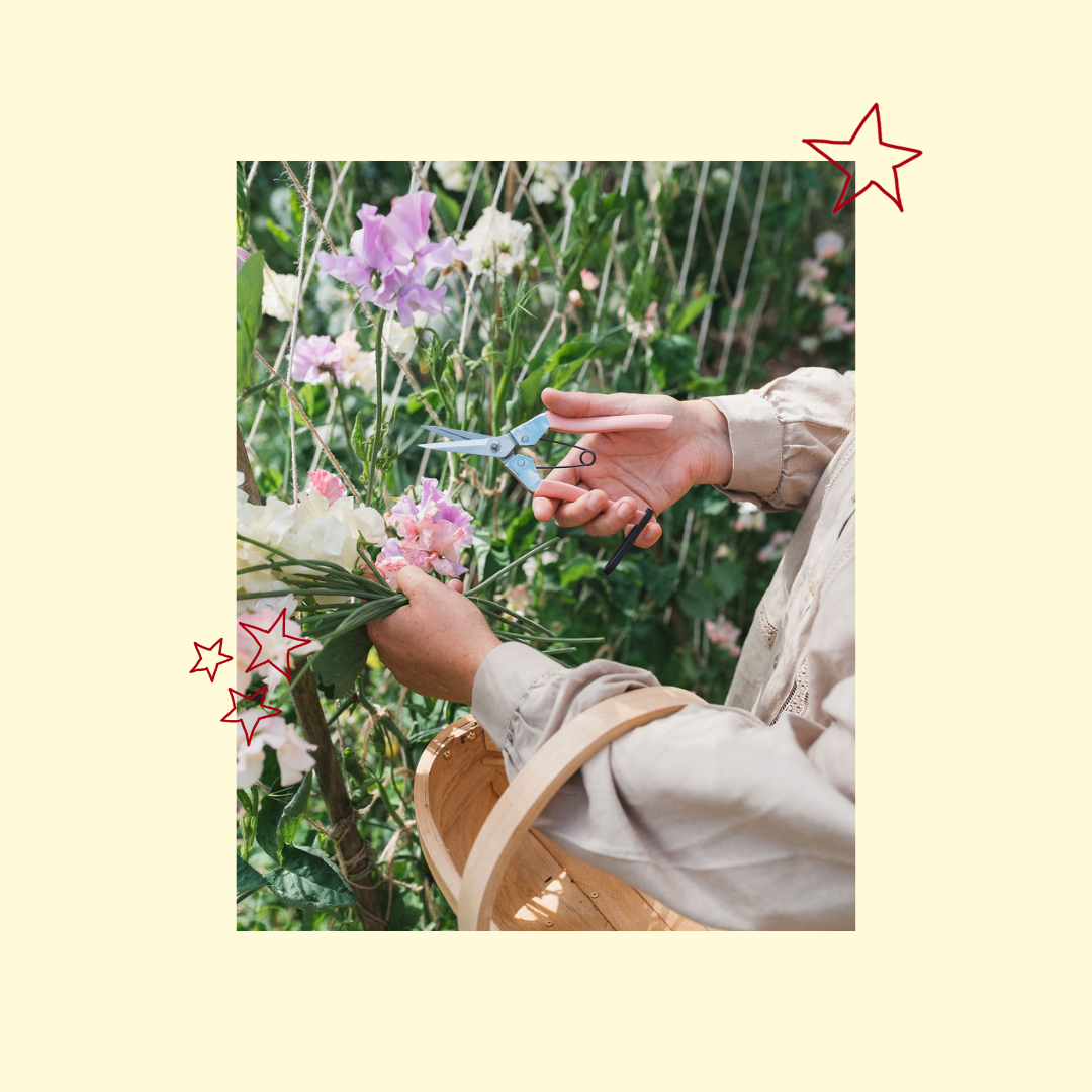 UK Gardener’s Gift Guide 2025 | Thoughtful Gifts from Independent Makers