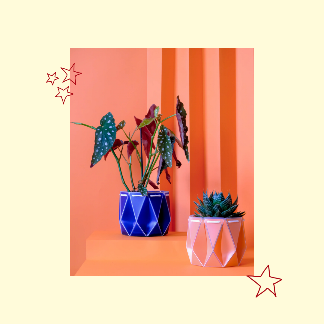 UK Gardener’s Gift Guide 2025 | Thoughtful Gifts from Independent Makers