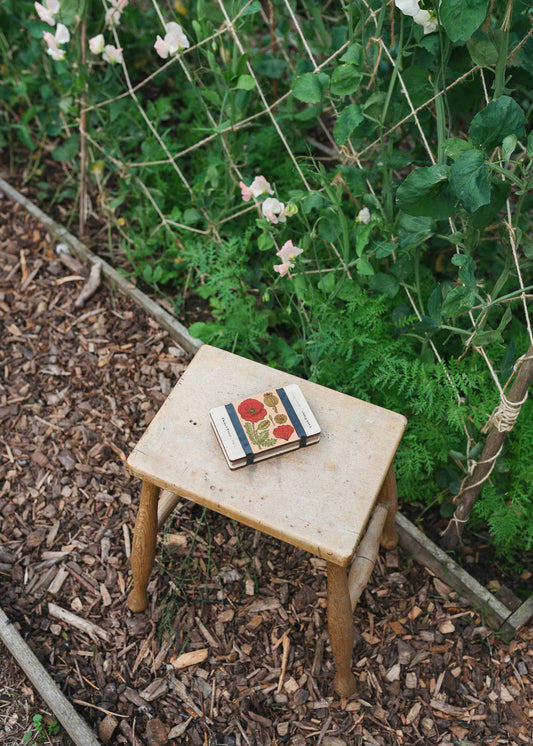 Pocket Flower Press - Vintage Corn Poppy