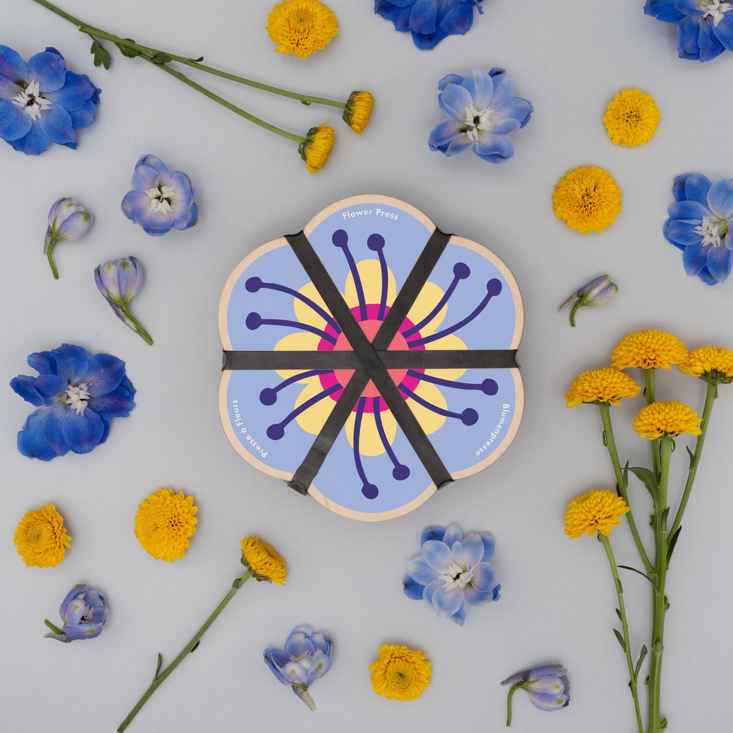 Flower Shaped Press - Cornflower Blue