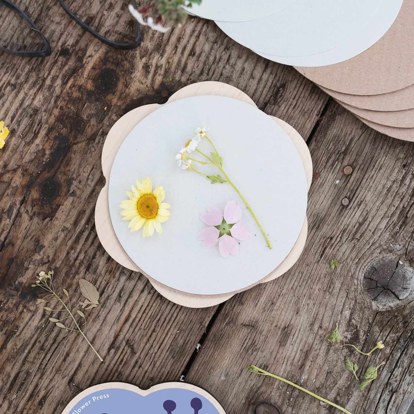 Flower Shaped Press - Cornflower Blue