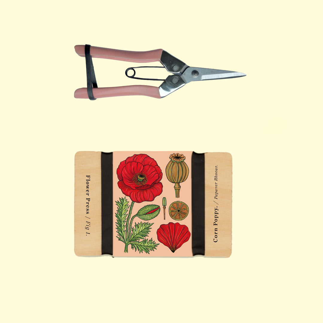 Botanical Gift Set: Corn Poppy Pocket Press & Precision Garden Snips 10