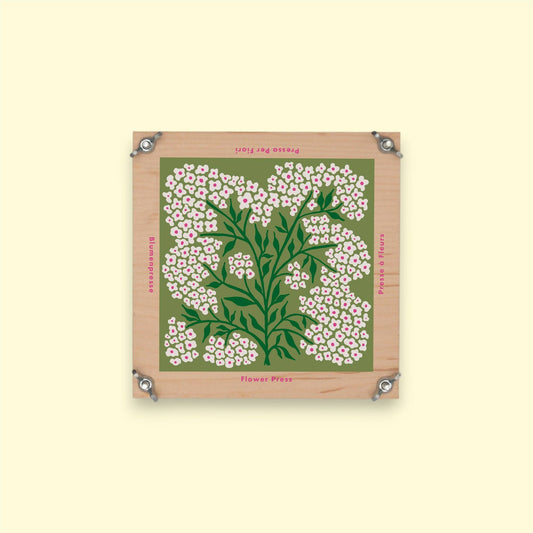 SECONDS Flower Press - Forget Me Not