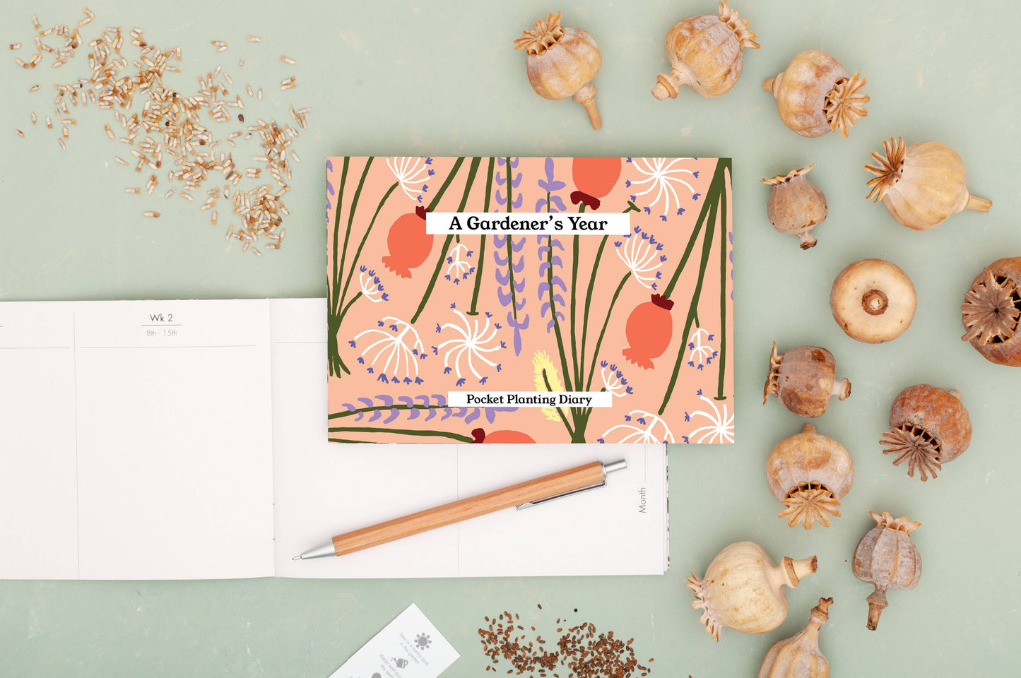 Gardener's Diary - 'Dried' - Peach