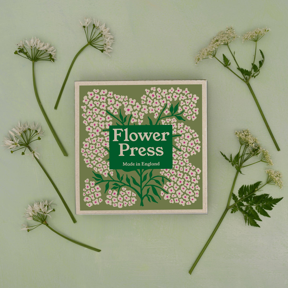 SECONDS Flower Press - Forget Me Not