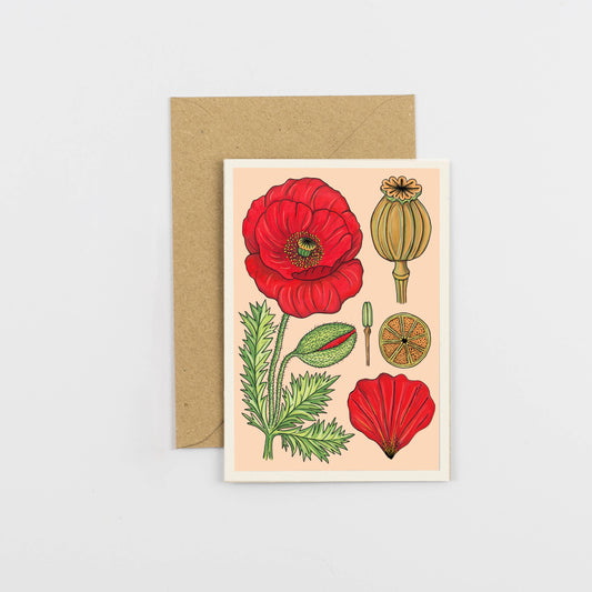 All Occasions A6 Card - Vintage Poppy