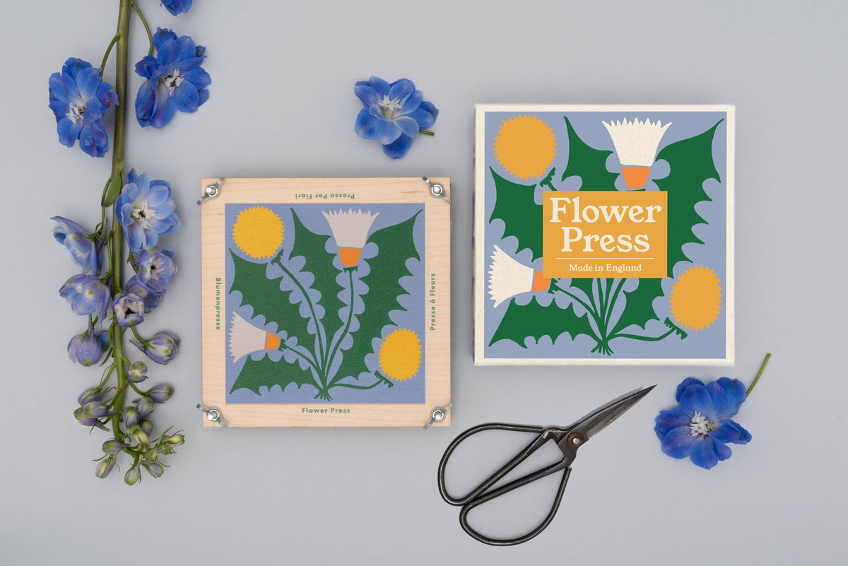 SECONDS Flower Press - Dandelion