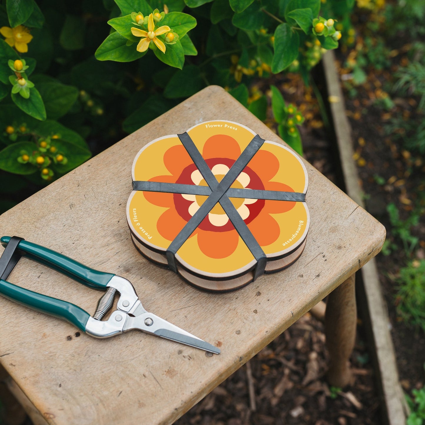 Flower Shaped Press - Yellows & Oranges