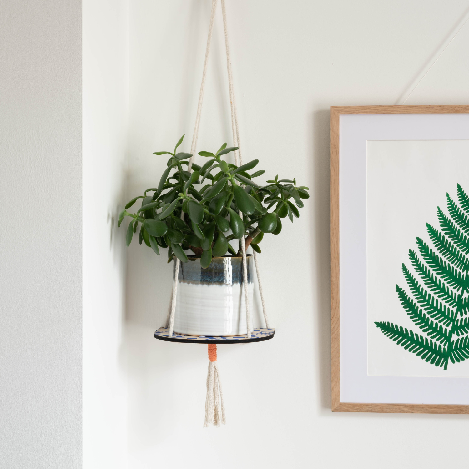 Blue Floral Hanging Plant Shelf by Studio Wald