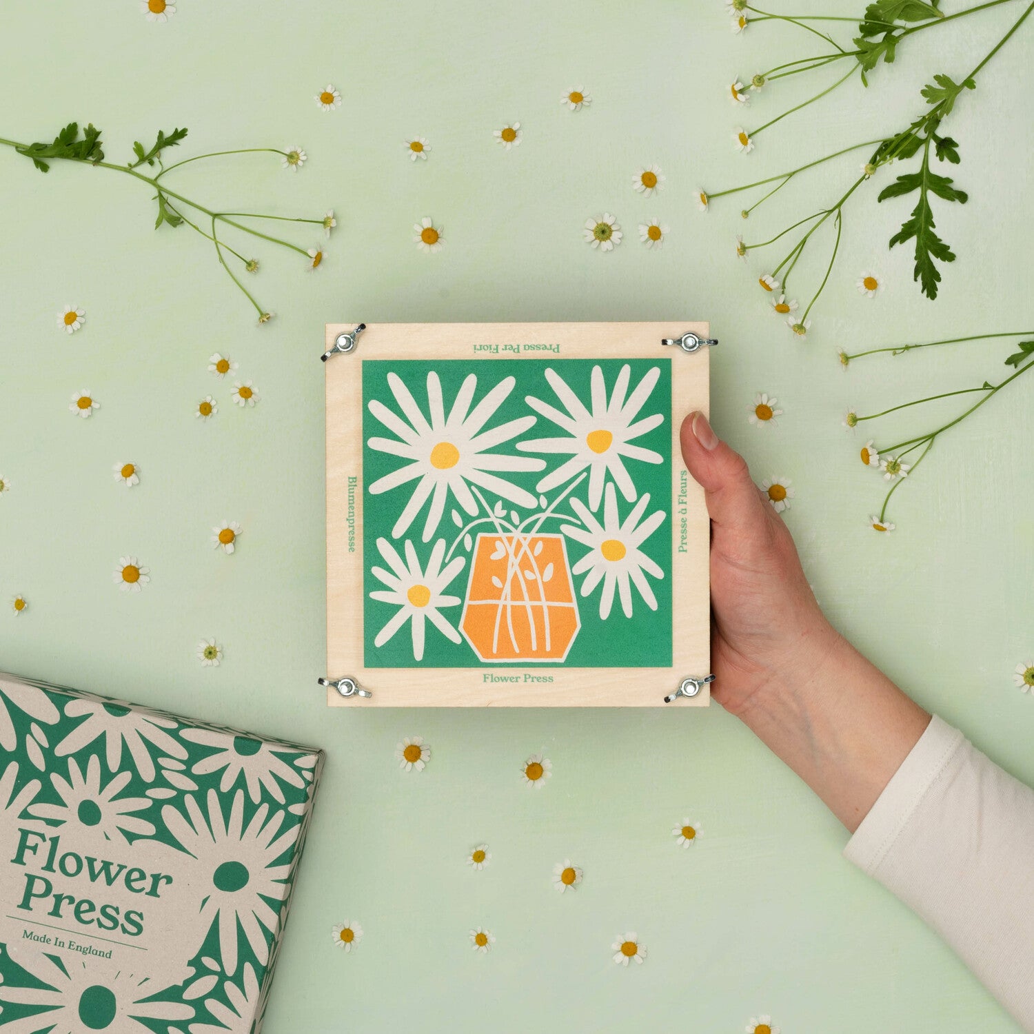 Flower Press With Daisy Design by Studio Wald