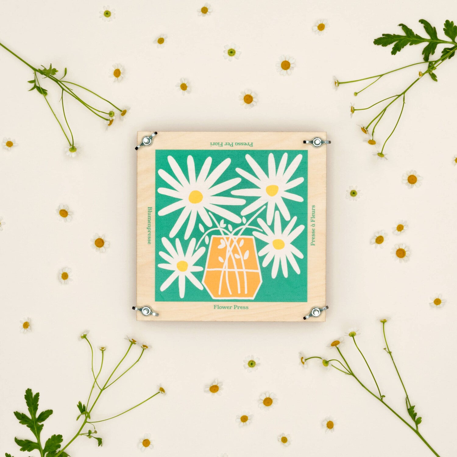 Flower Press With Daisy Design by Studio Wald