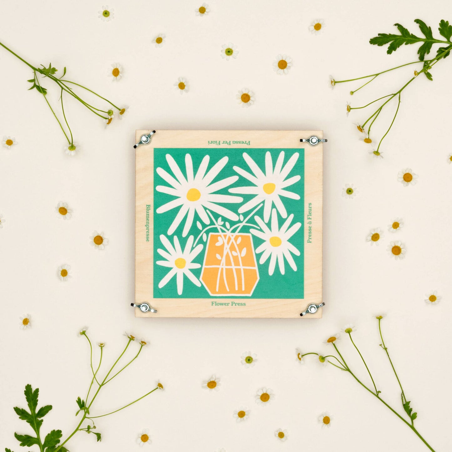 Flower Press With Daisy Design by Studio Wald