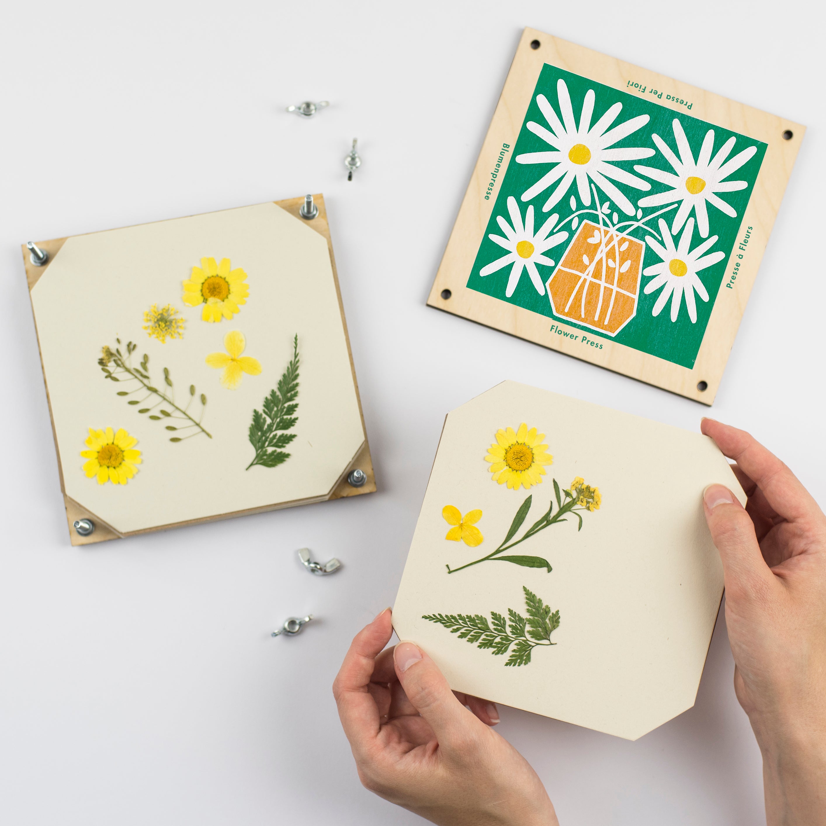 Flower Press With Daisy Design by Studio Wald