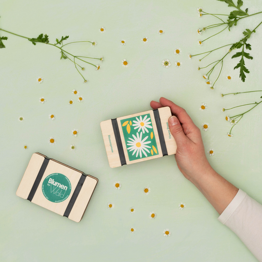 Mini Flower Press With Daisy Design by Studio Wald