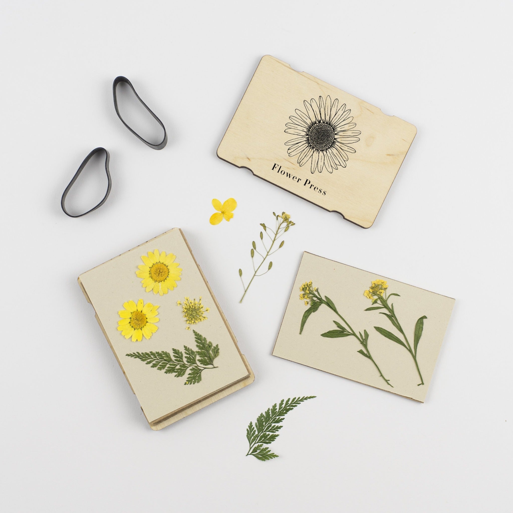 Mini Flower Press With Flower Line Drawing Design by Studio Wald