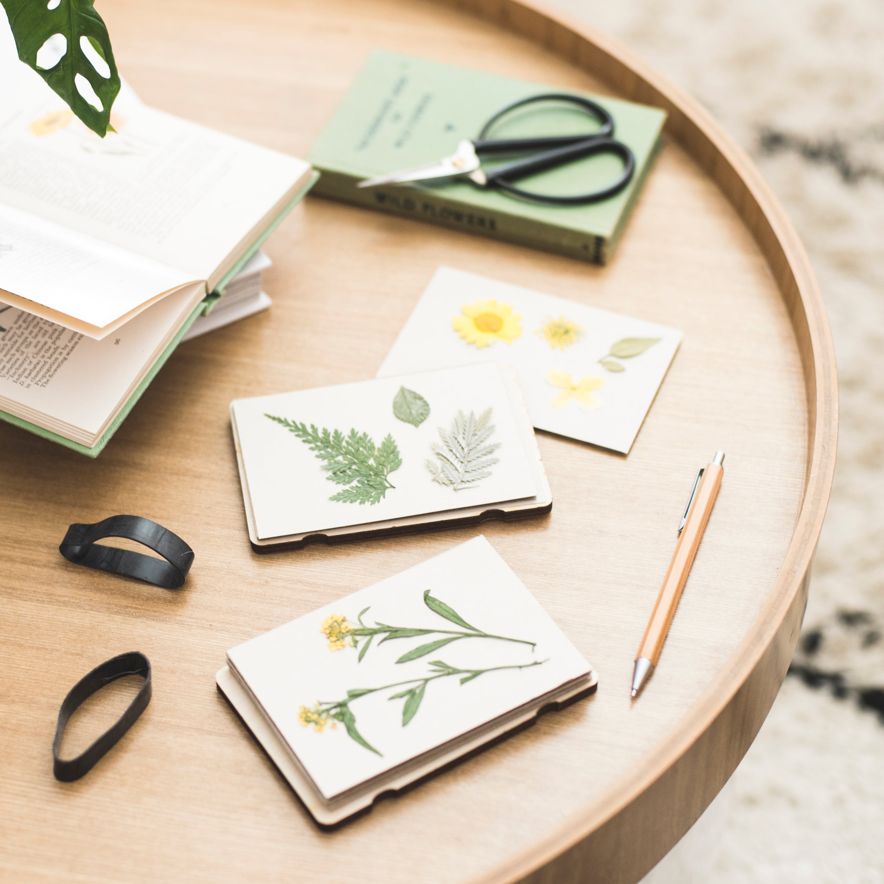 Pressed Flowers made by Mini Flower Press by Studio Wald