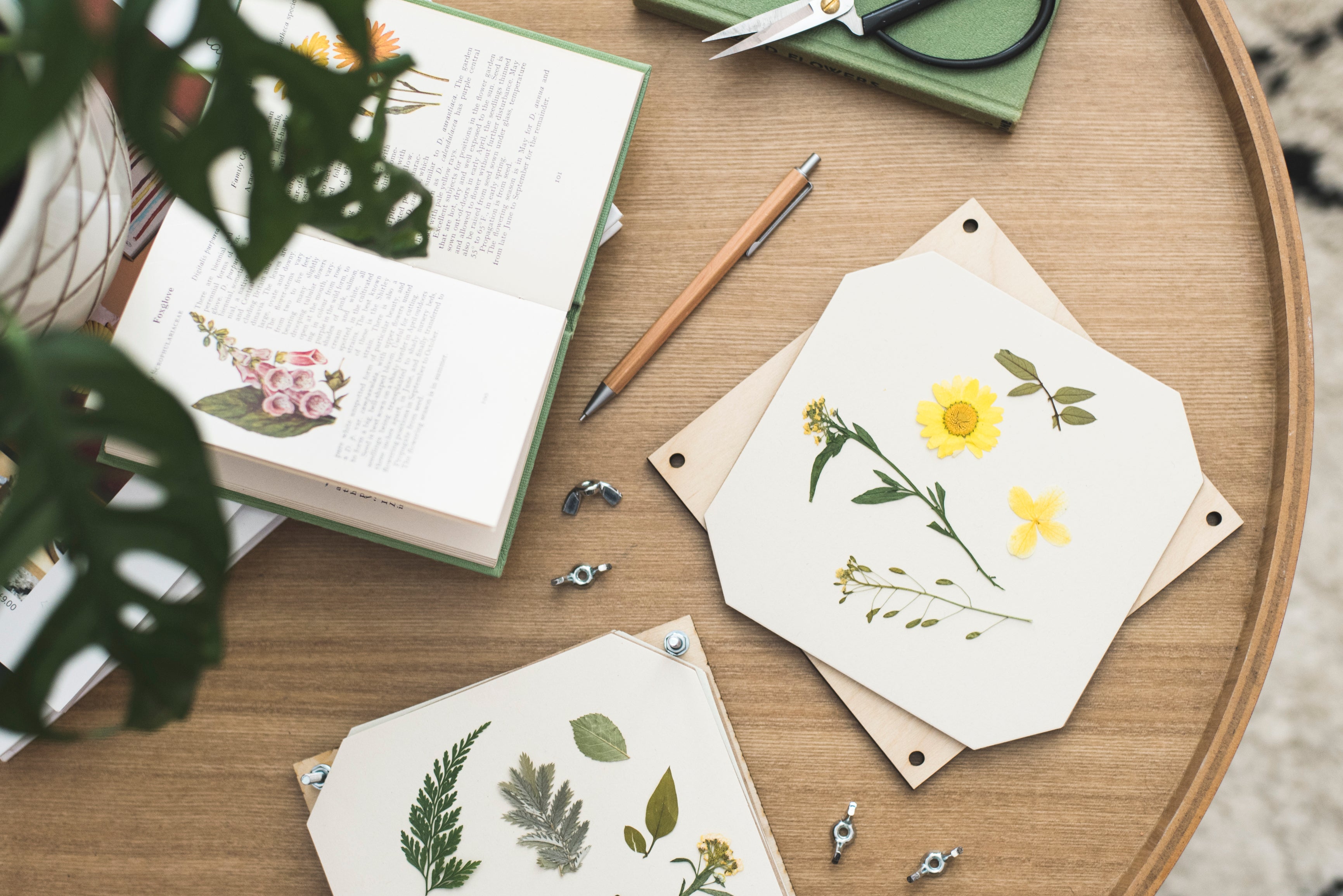 Pressed flowers in Flower Press by Studio Wald