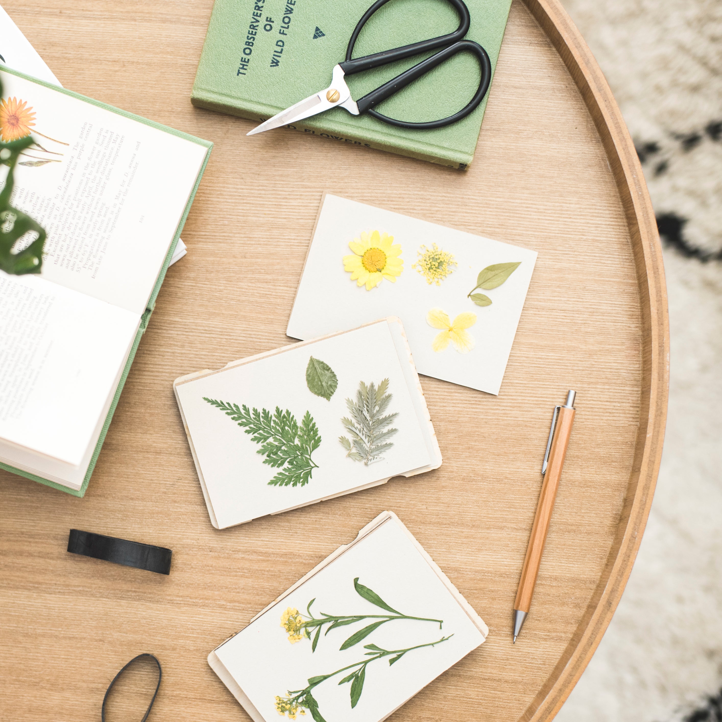 Pressed Flowers in a Mini Flower Press by Studio Wald