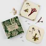 Load image into Gallery viewer, Large Seaweed Pressing Kit by Studio Wald
