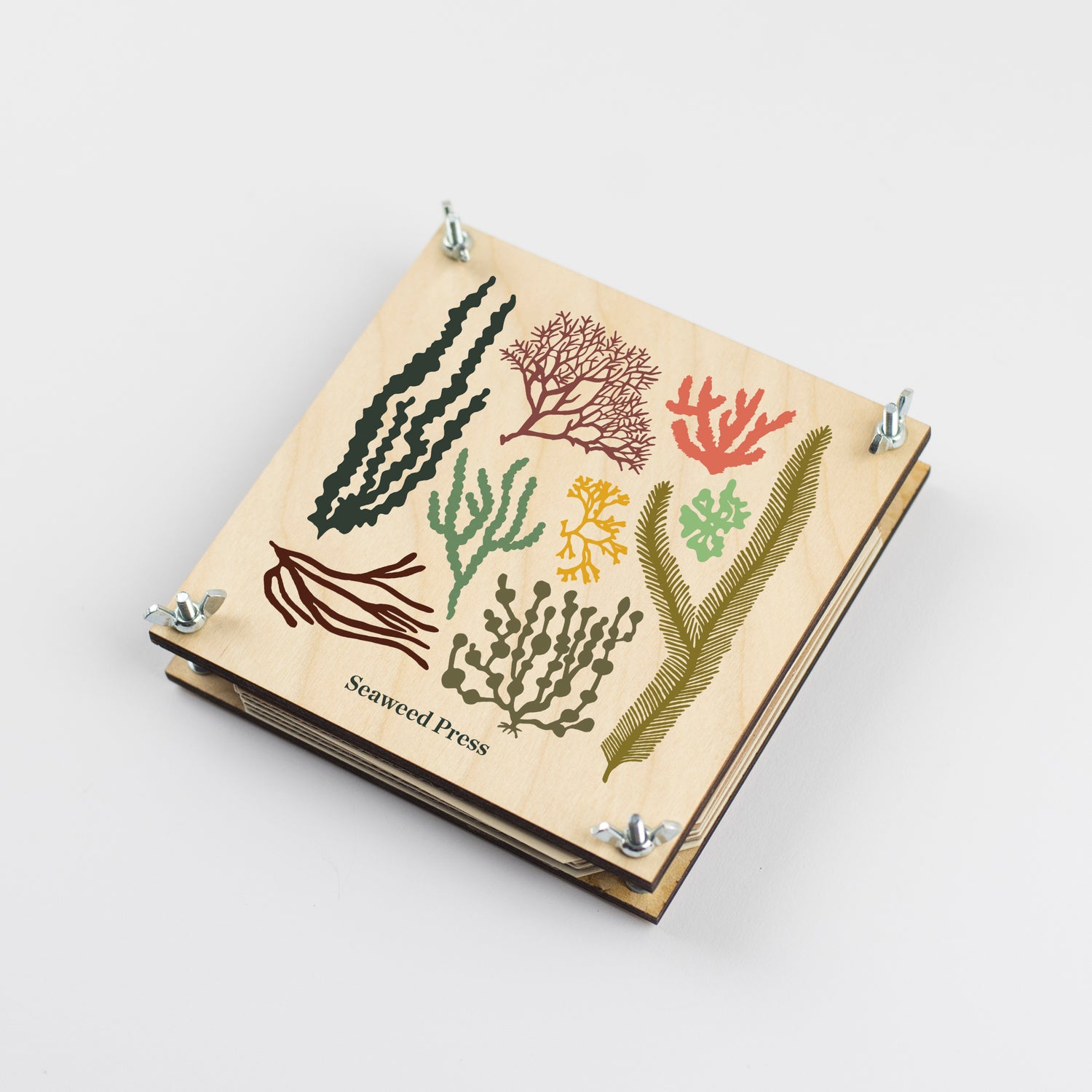 Large Seaweed Pressing Kit by Studio Wald