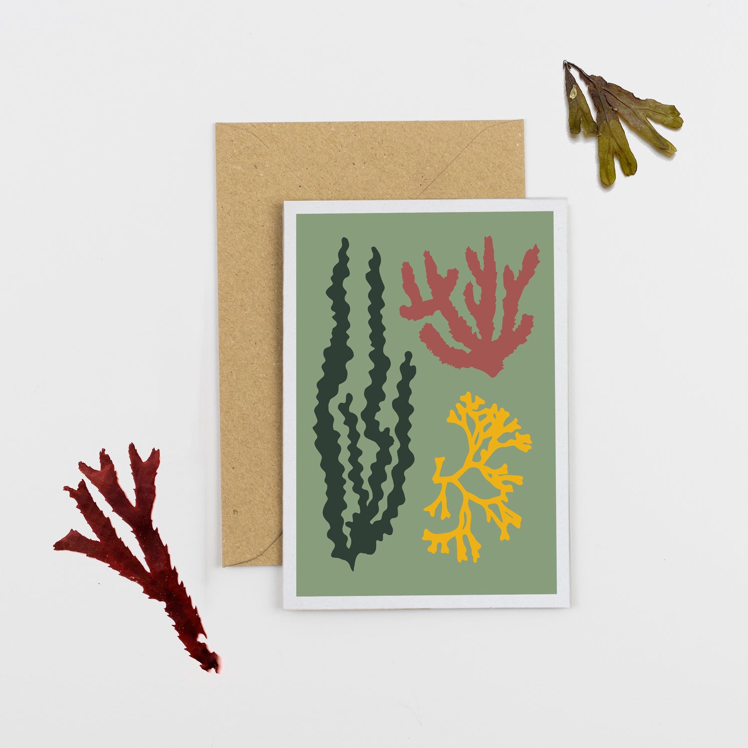 Seaweed Card - Green
